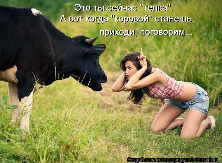 Это ты сейчас "телка". А вот когда "коровой" станешь, приходи, поговорим...... Котоматрица: Это ты сейчас "телка". А вот когда "коровой" станешь, приходи, поговорим...