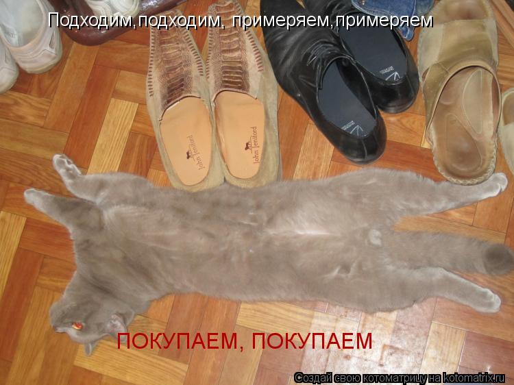 Подходим,подходим, примеряем,примеряем ПОКУПАЕМ, ПОКУПАЕМ... Котоматрица: Подходим,подходим, примеряем,примеряем ПОКУПАЕМ, ПОКУПАЕМ