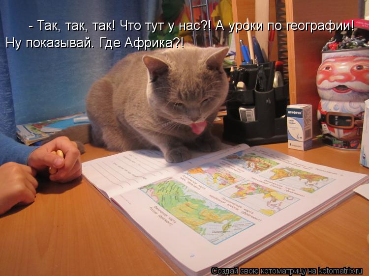 - Так, так, так! Что тут у нас?! А уроки по географии! Ну показывай. Где Африка?!... Котоматрица: - Так, так, так! Что тут у нас?! А уроки по географии! Ну показывай. Где Африка?!