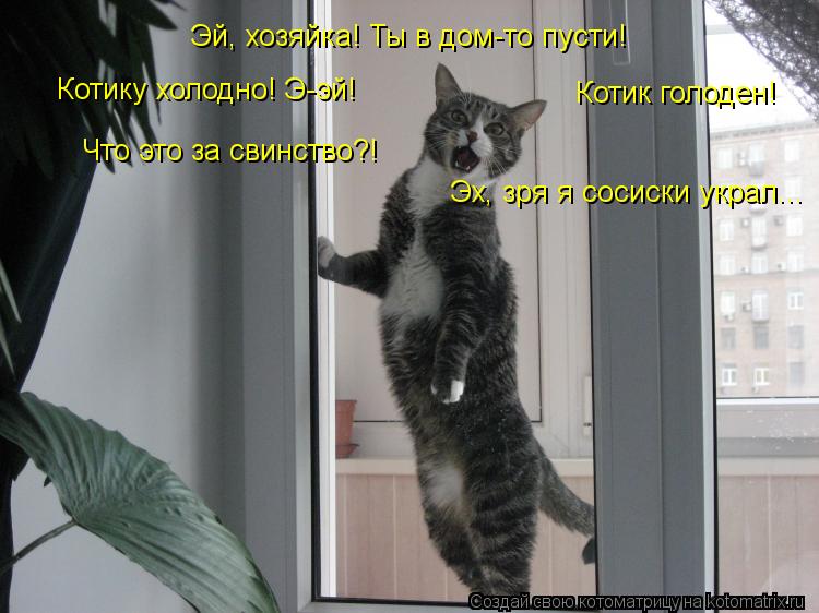 Эй, хозяйка! Ты в дом-то пусти! Котику холодно! Э-эй! Что это за свинство?! Котик голоден! Эх, зря я ... Котоматрица: Эй, хозяйка! Ты в дом-то пусти! Котику холодно! Э-эй! Что это за свинство?! Котик голоден! Эх, зря я сосиски украл...