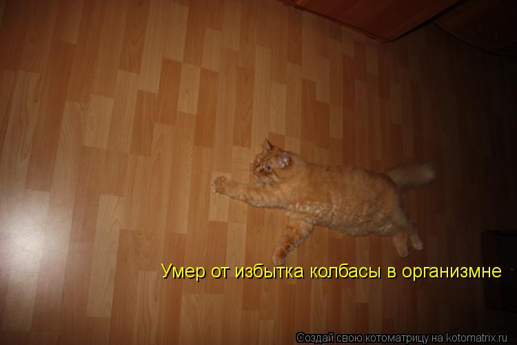 Умер от избытка колбасы в организмне... Котоматрица: Умер от избытка колбасы в организмне