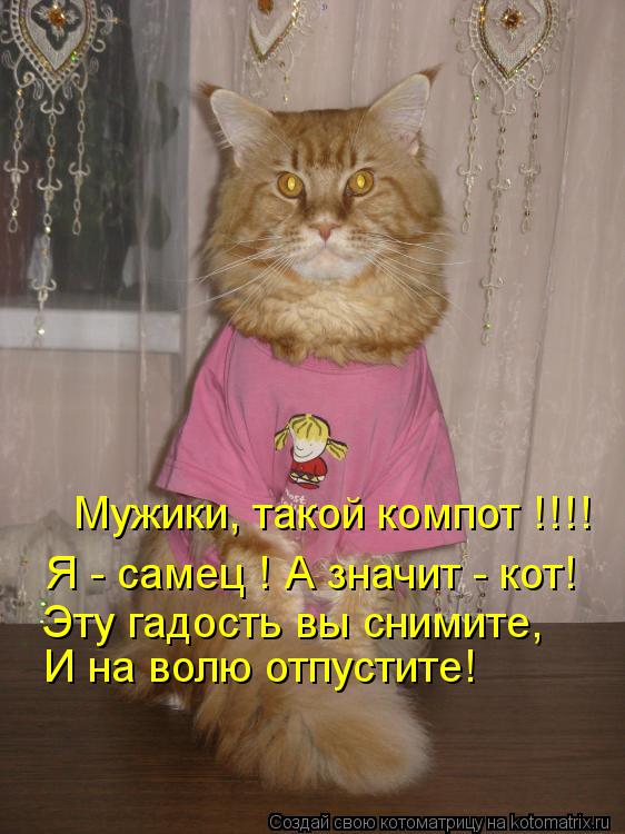 Мужики, такой компот !!!! Я - самец ! А значит - кот! Эту гадость вы снимите, И на волю отпустите!... Котоматрица: Мужики, такой компот !!!! Я - самец ! А значит - кот! Эту гадость вы снимите, И на волю отпустите!