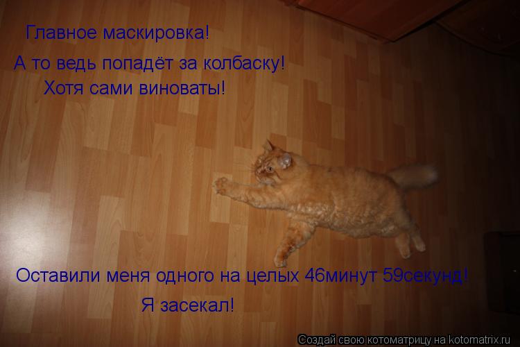 Главное маскировка! А то ведь попадёт за колбаску! Хотя сами виноваты! Оставили меня одного на це... Котоматрица: Главное маскировка! А то ведь попадёт за колбаску! Хотя сами виноваты! Оставили меня одного на целых 46минут 59секунд! Я засекал!
