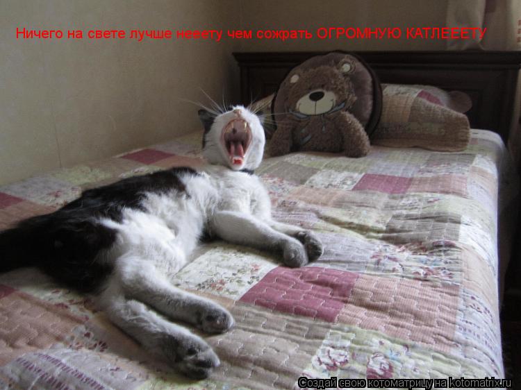 Ничего на свете лучше нееету чем сожрать ОГРОМНУЮ КАТЛЕЕЕТУ... Котоматрица: Ничего на свете лучше нееету чем сожрать ОГРОМНУЮ КАТЛЕЕЕТУ