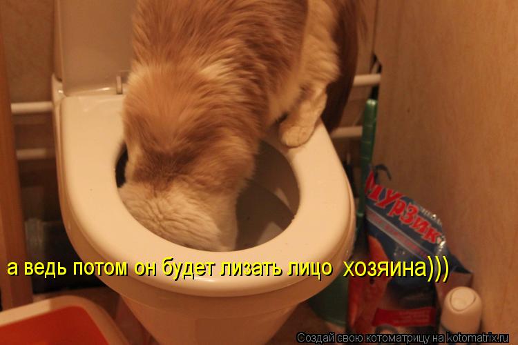 а ведь потом он будет лизать лицо хозяина)))... Котоматрица: а ведь потом он будет лизать лицо хозяина)))