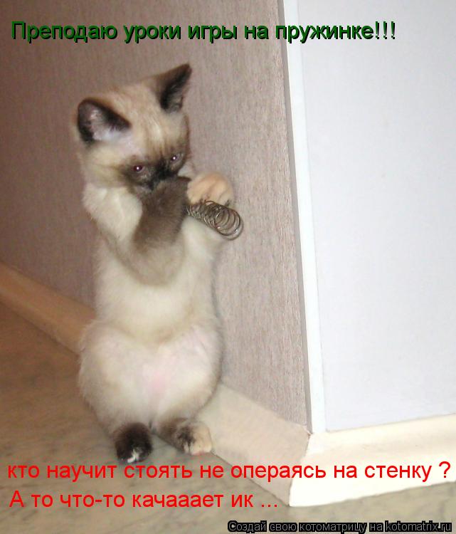 Преподаю уроки игры на пружинке!!! кто научит стоять не операясь на стенку ? А то что-то качааает ик... Котоматрица: Преподаю уроки игры на пружинке!!! кто научит стоять не операясь на стенку ? А то что-то качааает ик ...
