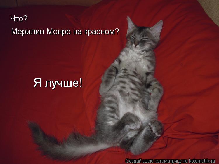 Мерилин Монро на красном? Я лучше! Что?... Котоматрица: Мерилин Монро на красном? Я лучше! Что?