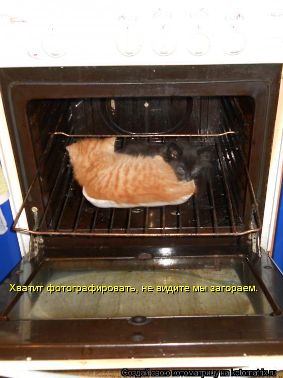 Котоматрица: Хватит фотографировать, не видите мы загораем.