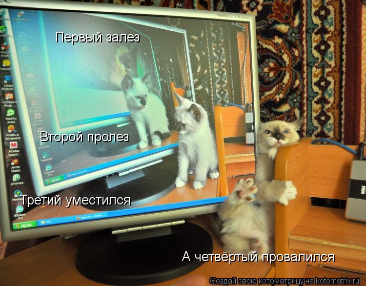 Первый залез Второй пролез Третий уместился А четвёртый провалился... Котоматрица: Первый залез Второй пролез Третий уместился А четвёртый провалился