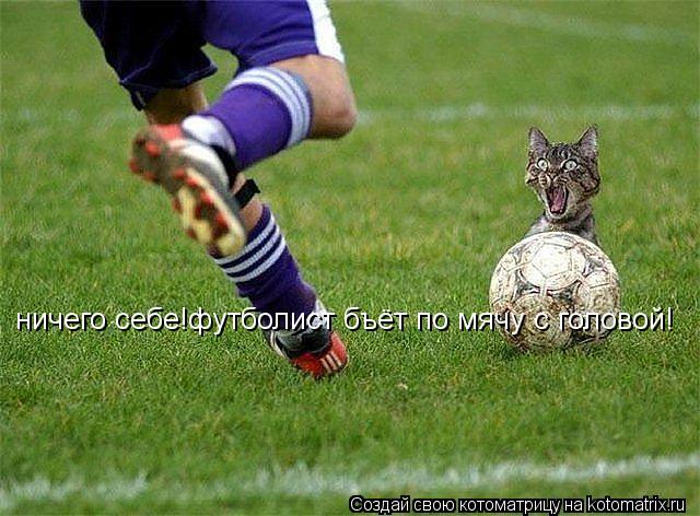 Котоматрица: ничего себе!футболист бъёт по мячу с головой!