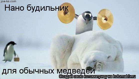 Котоматрица: Нано будильник для обычных медведей