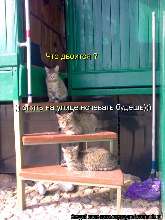 Котоматрица: )) опять на улице ночевать будешь))) Что двоится ? Что двоится ?