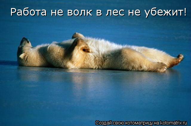 Котоматрица: Работа не волк в лес не убежит!