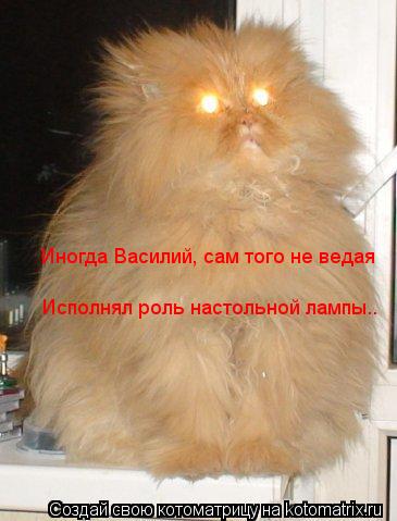 Котоматрица: Иногда Василий, сам того не ведая Исполнял роль настольной лампы..