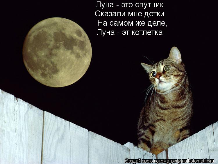 Котоматрица: Луна - это спутник Луна - это спутник Сказали мне детки На самом же деле, Луна - эт котлетка!