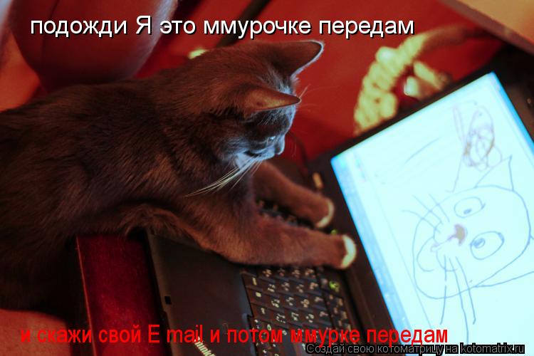 Котоматрица: подожди Я это ммурочке передам  и скажи свой E mail и потом ммурке передам
