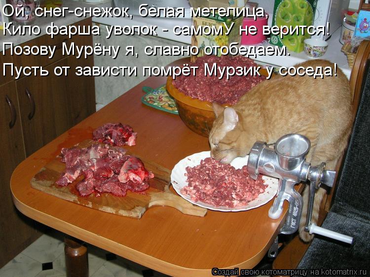 Котоматрица: Ой, снег-снежок, белая метелица, Кило фарша уволок - самомУ не верится! Позову Мурёну я, славно отобедаем. Пусть от зависти помрёт Мурзик у со