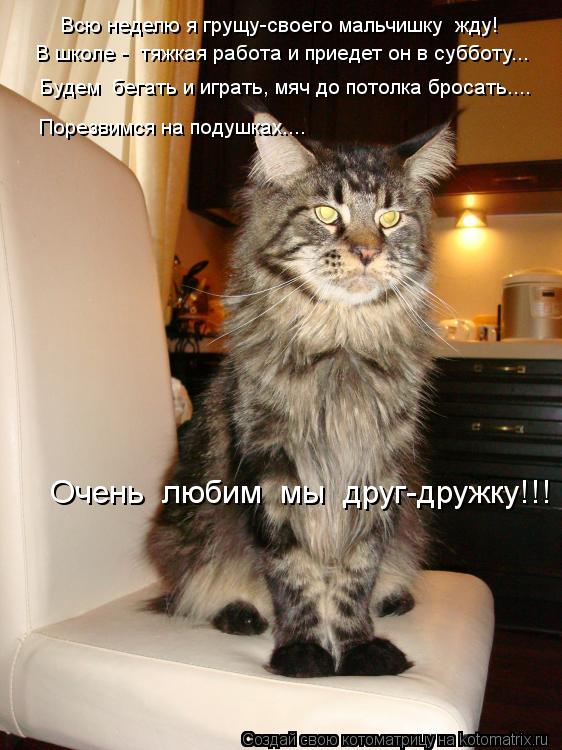 Всю неделю я грущу-своего мальчишку жду! В школе - тяжкая работа и приедет он в субботу... Будем б... Котоматрица: Всю неделю я грущу-своего мальчишку жду! В школе - тяжкая работа и приедет он в субботу... Будем бегать и играть, мяч до потолка бросать.... По