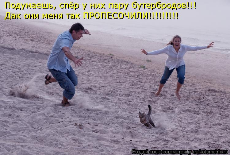 Подумаешь, спёр у них пару бутербродов!!! Дак они меня так ПРОПЕСОЧИЛИ!!!!!!!!!... Котоматрица: Подумаешь, спёр у них пару бутербродов!!! Дак они меня так ПРОПЕСОЧИЛИ!!!!!!!!!