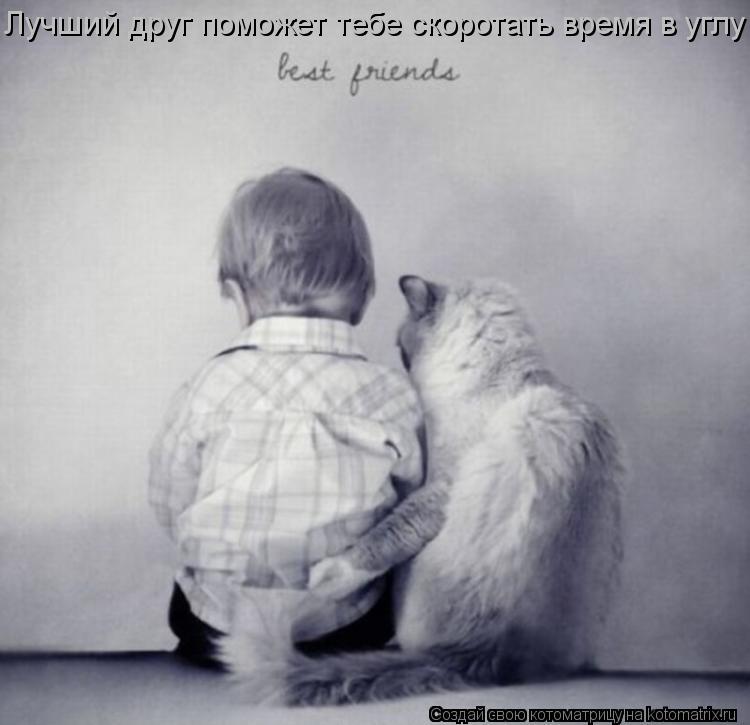 Лучший друг поможет тебе скоротать время в углу... Котоматрица: Лучший друг поможет тебе скоротать время в углу