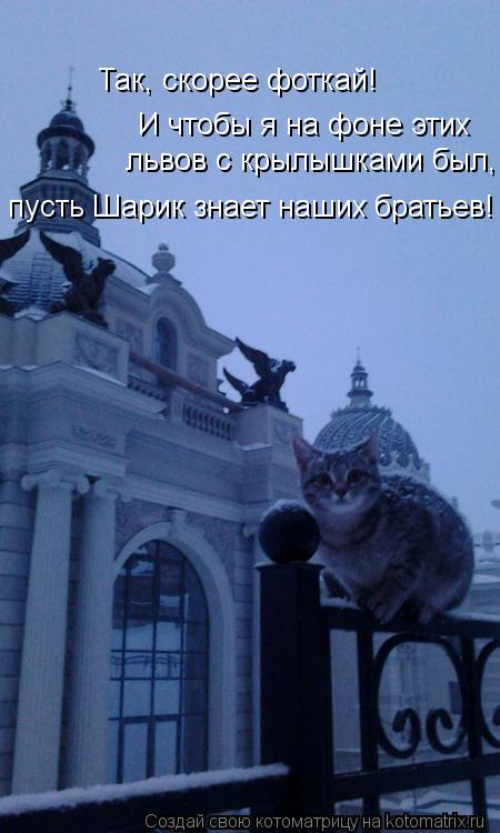 Так, скорее фоткай! Так, скорее фоткай! И чтобы я на фоне этих львов с крылышками был, пусть Шарик з... Котоматрица: Так, скорее фоткай! Так, скорее фоткай! И чтобы я на фоне этих львов с крылышками был, пусть Шарик знает наших братьев!