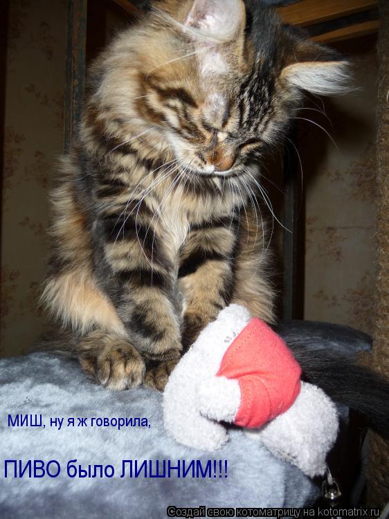 МИШ, ну я ж говорила, ПИВО было ЛИШНИМ!!!... Котоматрица: МИШ, ну я ж говорила, ПИВО было ЛИШНИМ!!!
