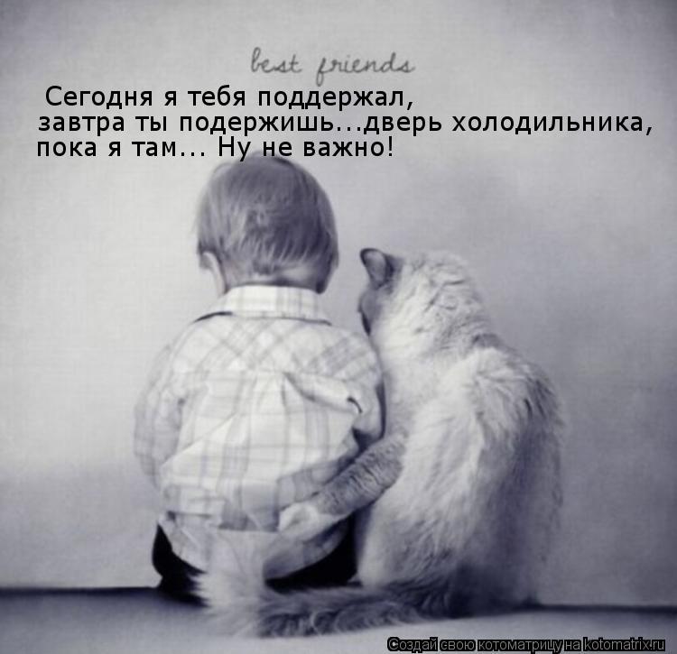 Сегодня я тебя поддержал, завтра ты подержишь...дверь холодильника, пока я там... Ну не важно!... Котоматрица: Сегодня я тебя поддержал, завтра ты подержишь...дверь холодильника, пока я там... Ну не важно!