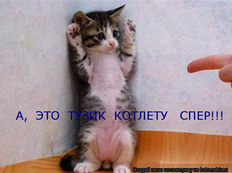 А, ЭТО ТУЗИК КОТЛЕТУ СПЕР!!!... Котоматрица: А, ЭТО ТУЗИК КОТЛЕТУ СПЕР!!!