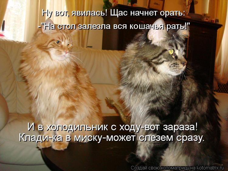 Ну вот, явилась! Щас начнет орать: -"На стол залезла вся кошачья рать!" И в холодильник с ходу-вот за... Котоматрица: Ну вот, явилась! Щас начнет орать: -"На стол залезла вся кошачья рать!" И в холодильник с ходу-вот зараза! Клади-ка в миску-может слезем сразу.