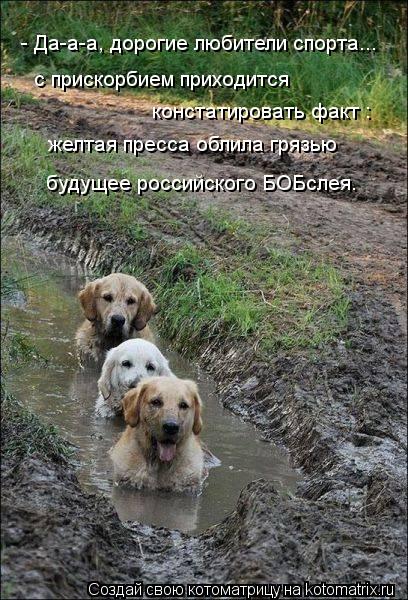 - Да-а-а, дорогие любители спорта... с прискорбием приходится констатировать факт : желтая пресса обл... Котоматрица: - Да-а-а, дорогие любители спорта... с прискорбием приходится констатировать факт : желтая пресса облила грязью будущее российского БОБслея.
