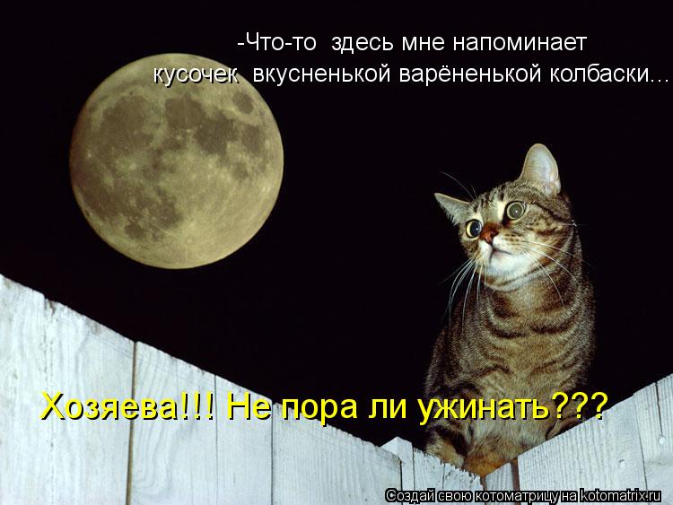 -Что-то здесь мне напоминает кусочек вкусненькой варёненькой колбаски... Хозяева!!! Не пора ли ужин... Котоматрица: -Что-то здесь мне напоминает кусочек вкусненькой варёненькой колбаски... Хозяева!!! Не пора ли ужинать???