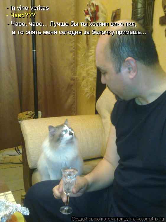 - In vino veritas - Чаво??? - Чаво, чаво... Лучше бы ты хозяин вино пил, а то опять меня сегодня за б... Котоматрица: - In vino veritas - Чаво??? - Чаво, чаво... Лучше бы ты хозяин вино пил, а то опять меня сегодня за белочку примешь...