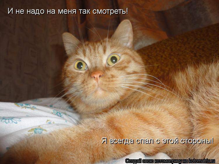 И не надо на меня так смотреть! Я всегда спал с этой стороны!... Котоматрица: И не надо на меня так смотреть! Я всегда спал с этой стороны!