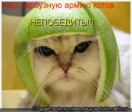 нашу арбузную армию котов... НЕПОБЕДИТЬ!!!... Котоматрица: нашу арбузную армию котов... НЕПОБЕДИТЬ!!!
