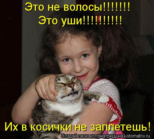 Это не волосы!!!!!!! Это не волосы!!!!!!! Это уши!!!!!!!!!! Их в косички не заплетешь!... Котоматрица: Это не волосы!!!!!!! Это не волосы!!!!!!! Это уши!!!!!!!!!! Их в косички не заплетешь!
