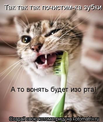 Котоматрица: Так так так почистим-ка зубки А то вонять будет изо рта!