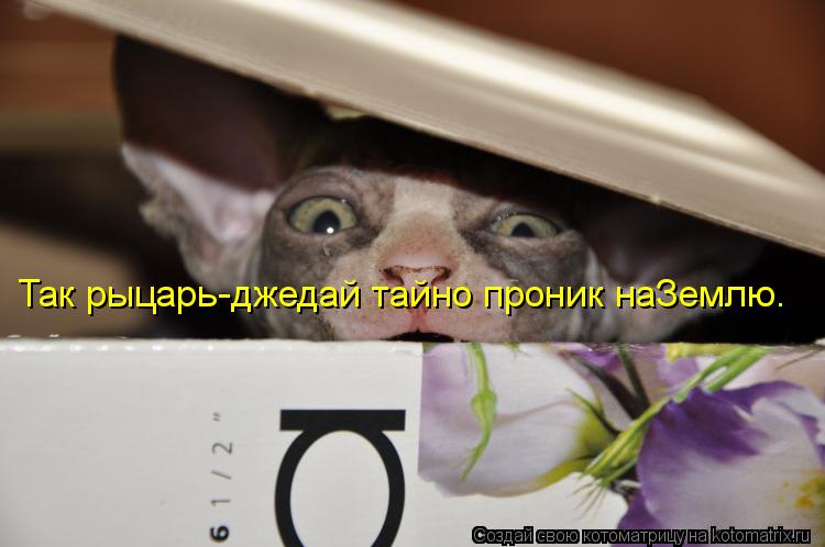 Котоматрица: Так рыцарь-джедай тайно проник наЗемлю.