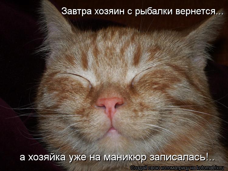 Котоматрица: Завтра хозяин с рыбалки вернется... а хозяйка уже на маникюр записалась!..