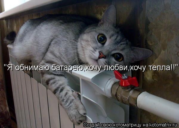"Я обнимаю батарею,хочу любви,хочу тепла!!"... Котоматрица: "Я обнимаю батарею,хочу любви,хочу тепла!!"