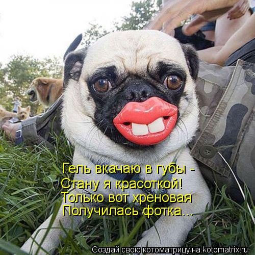 Гель вкачаю в губы - Стану я красоткой! Только вот хреновая Получилась фотка...... Котоматрица: Гель вкачаю в губы - Стану я красоткой! Только вот хреновая Получилась фотка...