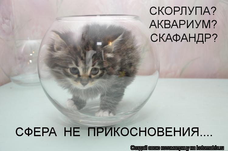 СКОРЛУПА? АКВАРИУМ? СКАФАНДР? СФЕРА НЕ ПРИКОСНОВЕНИЯ....... Котоматрица: СКОРЛУПА? АКВАРИУМ? СКАФАНДР? СФЕРА НЕ ПРИКОСНОВЕНИЯ....