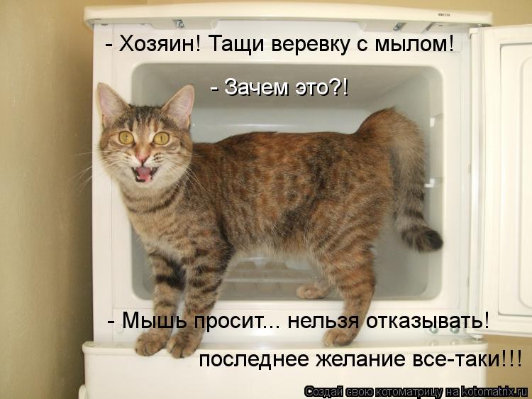- Хозяин! Тащи веревку с мылом! - Зачем это?! - Мышь просит... нельзя отказывать! последнее желание в... Котоматрица: - Хозяин! Тащи веревку с мылом! - Зачем это?! - Мышь просит... нельзя отказывать! последнее желание все-таки!!!
