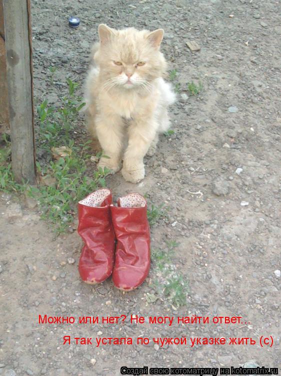 Можно или нет? Не могу найти ответ... Я так устала по чужой указке жить (с)... Котоматрица: Можно или нет? Не могу найти ответ... Я так устала по чужой указке жить (с)