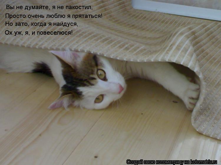 Вы не думайте, я не пакостил, Просто очень люблю я прятаться! Но зато, когда я найдуся, Ох уж, я, и ... Котоматрица: Вы не думайте, я не пакостил, Просто очень люблю я прятаться! Но зато, когда я найдуся, Ох уж, я, и повеселюся! Ох уж, я, и повеселюся!