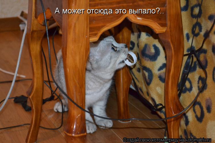 А может отсюда это выпало?..... Котоматрица: А может отсюда это выпало?..