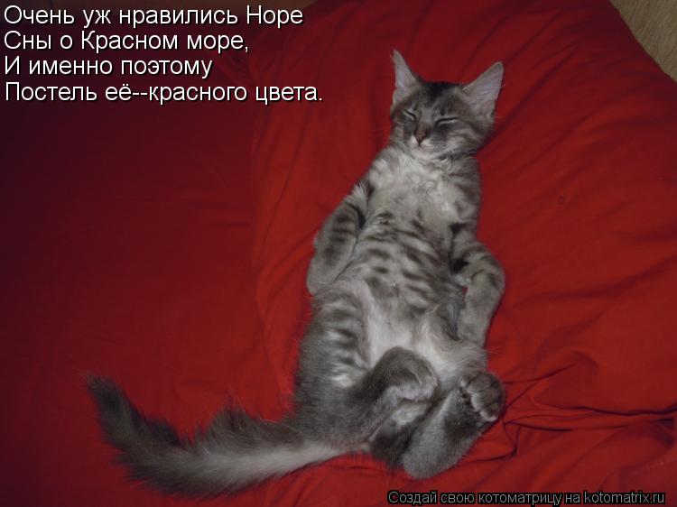 Очень уж нравились Норе Сны о Красном море, И именно поэтому Постель её--красного цвета.... Котоматрица: Очень уж нравились Норе Сны о Красном море, И именно поэтому Постель её--красного цвета.