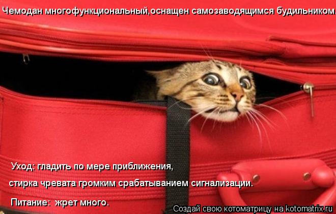 Уход: гладить по мере приближения, стирка чревата громким срабатыванием сигнализации. Чемодан многоф... Котоматрица: Уход: гладить по мере приближения, стирка чревата громким срабатыванием сигнализации. Чемодан многофункциональный,оснащен самозаводящим