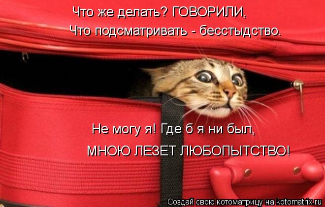 Что же делать? ГОВОРИЛИ, Что подсматривать - бесстыдство. Не могу я! Где б я ни был, МНОЮ ЛЕЗЕТ ЛЮБОП... Котоматрица: Что же делать? ГОВОРИЛИ, Что подсматривать - бесстыдство. Не могу я! Где б я ни был, МНОЮ ЛЕЗЕТ ЛЮБОПЫТСТВО!