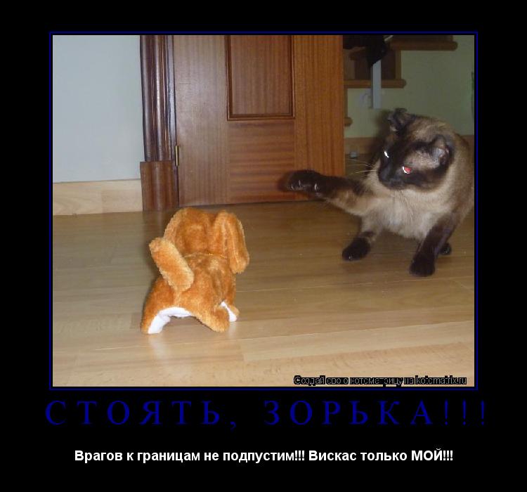 Стоять, Зорька!!! Врагов к границам не подпустим!!! Вискас только МОЙ!!!... Котоматрица: Стоять, Зорька!!! Врагов к границам не подпустим!!! Вискас только МОЙ!!!