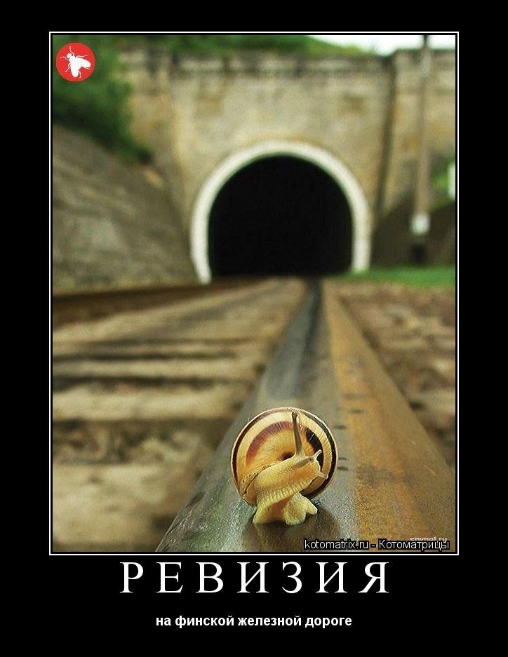 Ревизия на финской железной дороге... Котоматрица: Ревизия на финской железной дороге